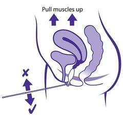 Bäckenbottentränare Educator
