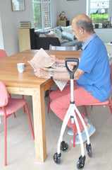 Wheeleo - stöd med hjul