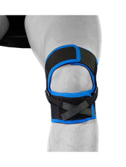 Knee Patella Tendon